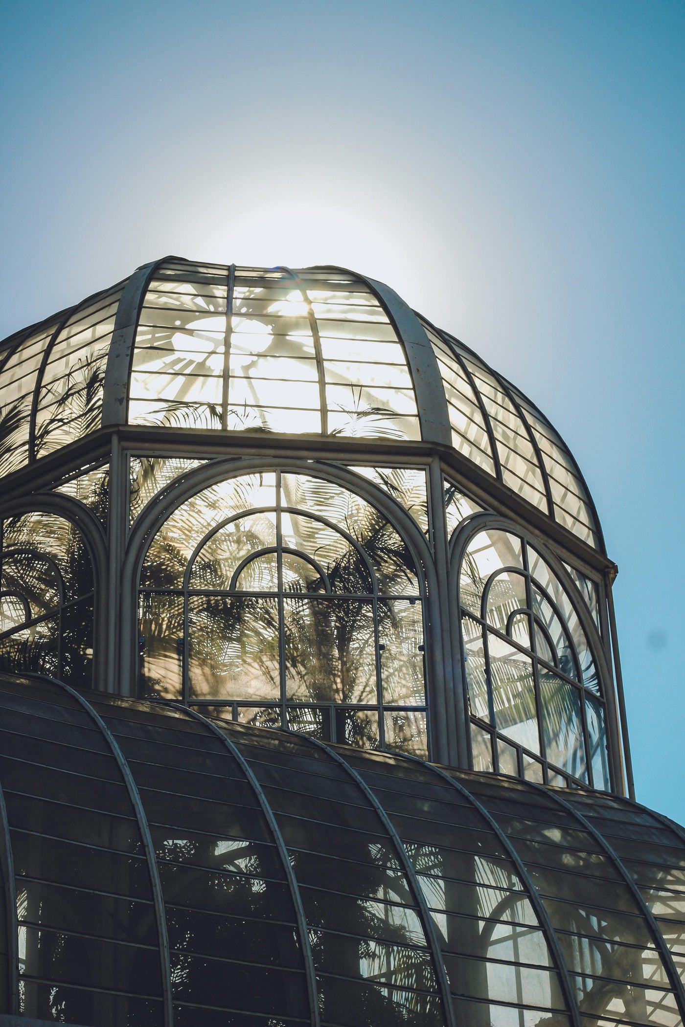 A greenhouse