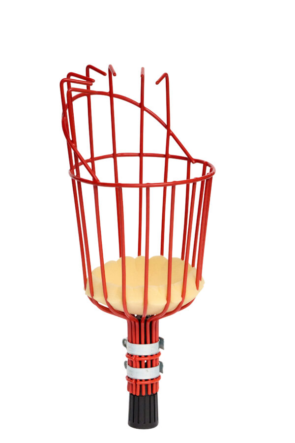 Fruitpicker - Afbeelding 2